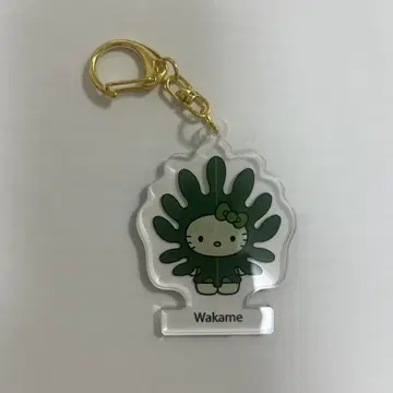 해조 키티 Algae x HelloKitty 와카메 아크릴 키링