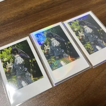 이레이스 쇼 실사 폴라로이드