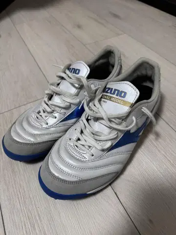 Mizuno Professional Model 축구화