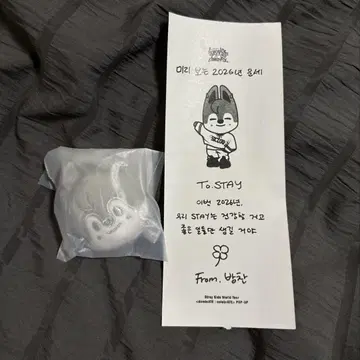 SKZOO FACE KEYRING SILVER Ver. 울프찬