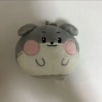 고니니 키링