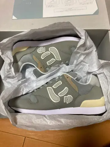 뉴즈 [ GRAY ] 10주년 한정판 모델