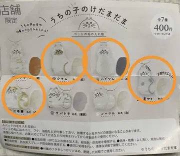 우리 아이 털뭉치 가챠 한정판