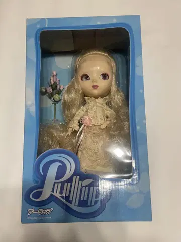 풀립 Bouquet 쇼와 레트로