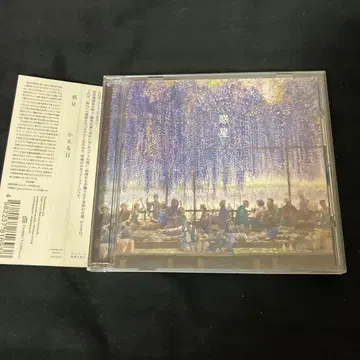개구리 눈 혹성 인디 CD