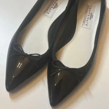 TEMPERATE 텐페레이트 스틸레토 플랫슈즈 39