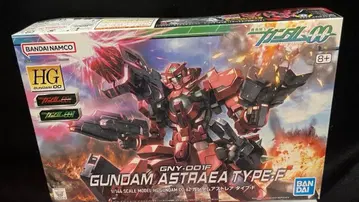 HG 1/144 건담 아스트레아 타입 F