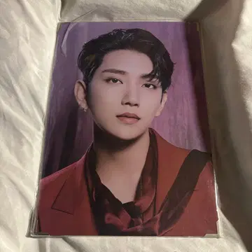 조슈아 프리미엄 사진