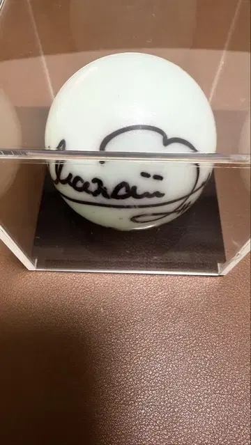 나의 파랑 내가 보고 싶었던 파란 하늘 모치나가 마나 사인볼 친필