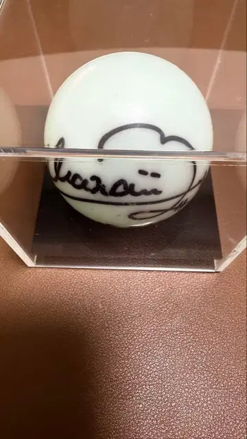 나의 파랑 내가 보고 싶었던 파란 하늘 모치나가 마나 사인볼 친필