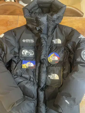 THE NORTH FACE 세븐 서밋 GORE-TEX 다운 자켓