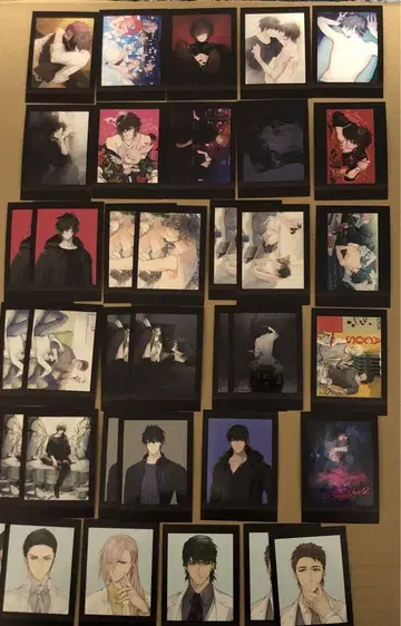 슬로우 데미지 파샤코레 26종 세트 레어 금박 있음