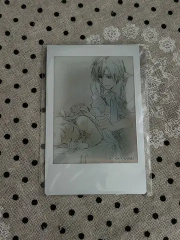 테일즈 폴라로이드 브로마이드 엘르 루도거