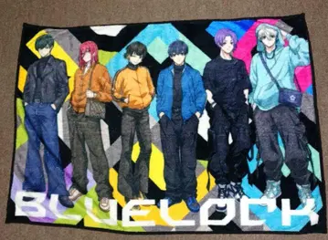 블루 록 조조타운 ZOZOTOWN 담요