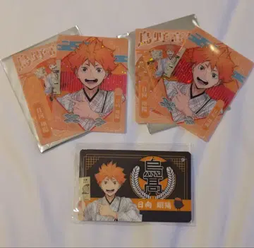 하이큐 레츠고 교토 히나타 쇼요