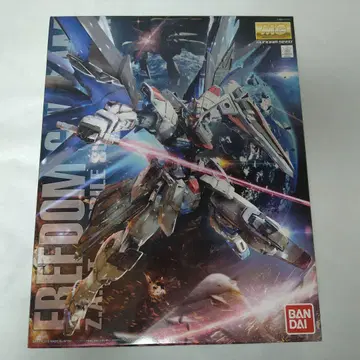 MG 프리덤 건담 Ver.2.0