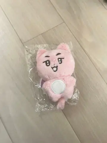 포바투 영준 봉제 인형 마스터님