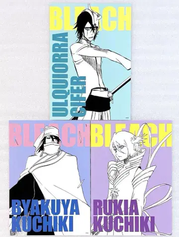 BLEACH 아트 카드 컬렉션 우루키오라 후목 백야 후목 루키아