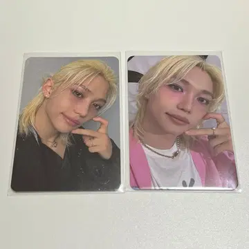 celebrATE STAYZONE 트레이딩 카드 필릭스