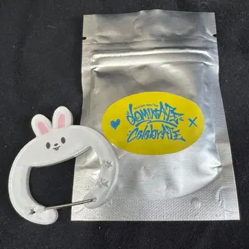 straykids 리노 카라비너 리비트