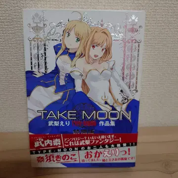 TAKE MOON 타케나시 에리 TYPE-MOON 작품집 특별판