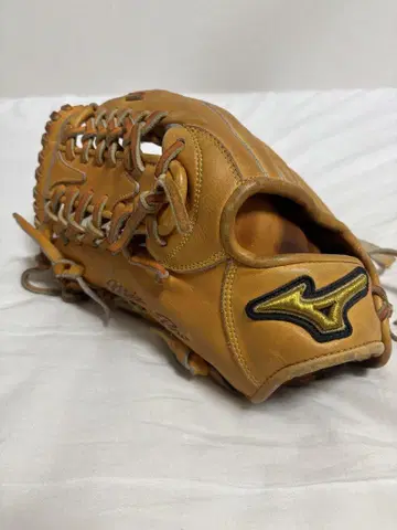미즈노 프로 경식 연식 겸용 그로브 왼손 외야수용