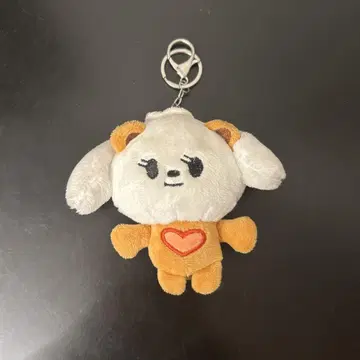 txt 범그루 키링