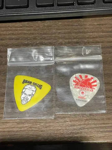 Night Ranger FAREWELL JAPAN 2025 기타 피크