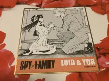 스파이 패밀리 원작 그림 색지 로이드 요르