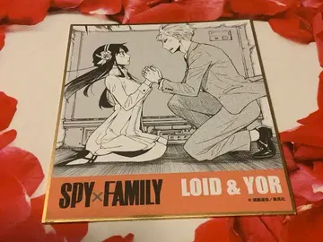 스파이 패밀리 원작 그림 색지 로이드 요르