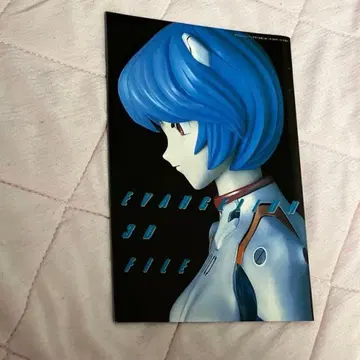 [ 잡지 부록 ] 에반게리온 EVANGELION 3D 파일 FILE