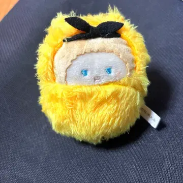 리코리스 리코일  호두 워 너트