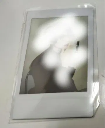 야자와 모토하루 씨 폴라로이드