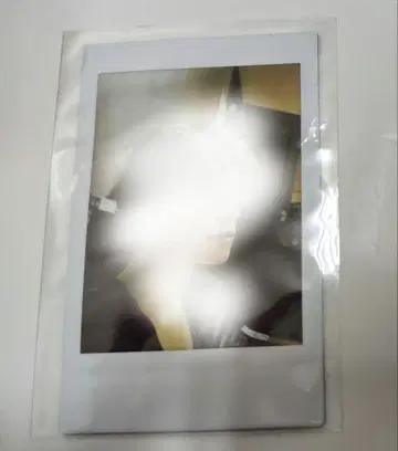 야자와 모토하루 씨 폴라로이드