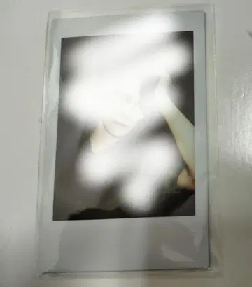 야자와 모토하루 씨 폴라로이드