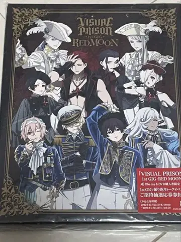 비주얼 프리즌 DVD