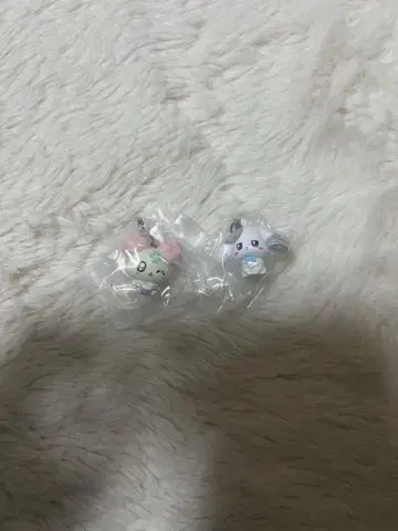 푸치큐아 메지루시 액세서리 2