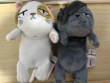 하이큐 웅크린 고양이 쿠로 네코 켄마 네코 세트