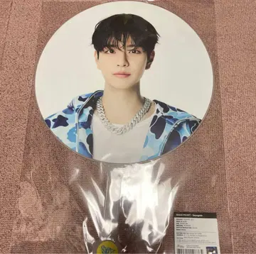straykids 승민 dominATE 부채 IMAGE PICKET