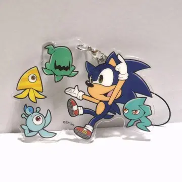 초코카와 트윈 아크릴 스트랩 컬러즈 SONIC 소닉 위스프