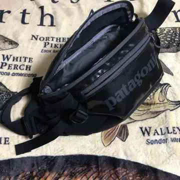 patagonia 파타고니아 블랙홀 웨이스트 팩 5L
