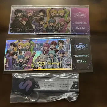 STPR Festival 티켓 특전 & 키링 세트