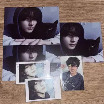 ENHYPEN 정원 daydream 세트