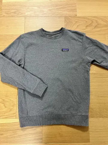 Patagonia 업라이저 맨투맨