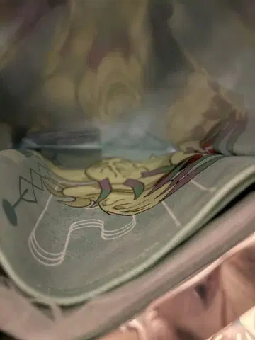 디지몬 어드벤처 극락탕 미미 파르몬