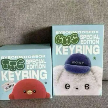 BYEONWOOSEOK KEYRING 변우석 키링 세트