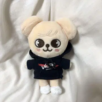 Straykids 스키즈 승민 SKZOO 파핌 미니