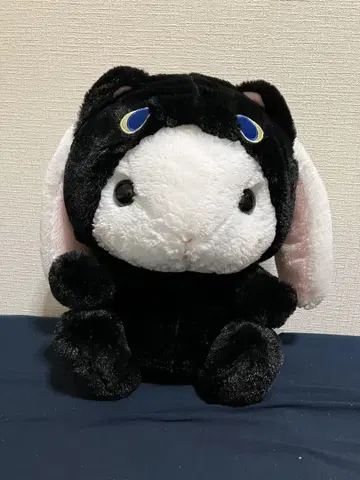 포테우사 롯삐 봉제 인형 본체 검은 고양이