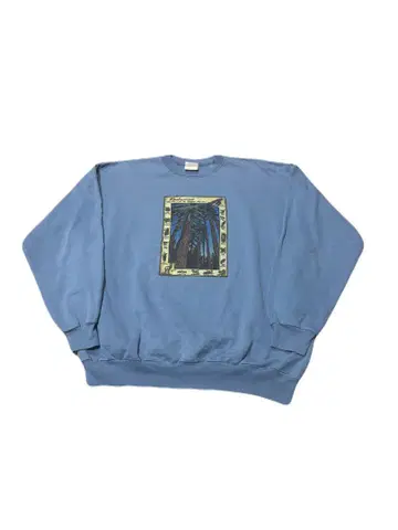 Hanes 파랑 프린트 맨투맨 L 사이즈