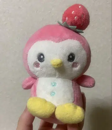 JOCHUM 제오참 초대 봉제 인형 뽀뽀